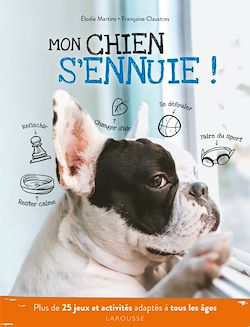 Télécharger le livre :  Mon chien s'ennuie !