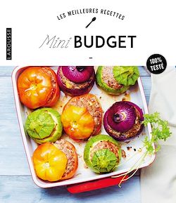 Télécharger le livre :  Mini-budget
