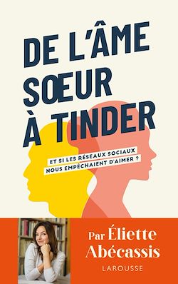 Télécharger le livre :  De l'âme soeur à Tinder