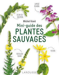 Télécharger le livre :  Mini-guide des plantes sauvages
