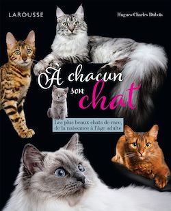 Télécharger le livre :  A chacun son chat