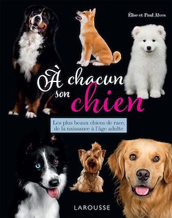 Télécharger le livre :  A chacun son chien