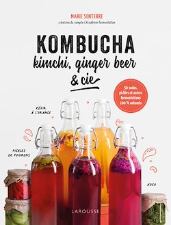 Télécharger le livre :  Kombucha, kimchi, ginger beer & Cie