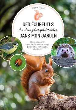 Télécharger le livre :  Des écureuils dans mon jardin