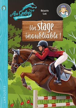 Télécharger le livre :  Roman AU GALOP, une année à cheval - Un stage inoubliable