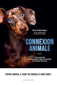 Téléchargez le livre :  Connexion animale