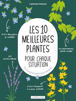 Télécharger le livre :  Les 10 meilleures plantes pour chaque situation