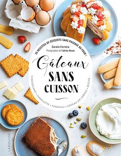Télécharger le livre :  Gâteaux sans cuisson