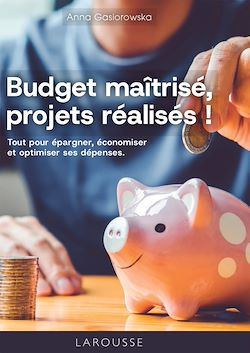Télécharger le livre :  Budget maîtrisé, projets réalisés !