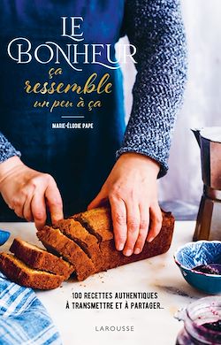 Télécharger le livre :  Le bonheur ça ressemble un peu à ça