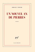 Télécharger le livre :  Un nouvel an de pierres