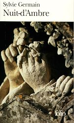 Télécharger le livre :  Nuit-d'Ambre