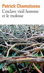 Télécharger le livre :  L'esclave vieil homme et le molosse