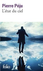 Télécharger le livre :  L'état du ciel