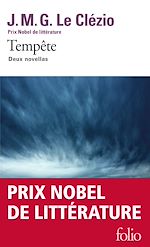 Télécharger le livre :  Tempête. Deux novellas
