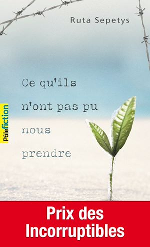 Téléchargez le livre :  Ce qu'ils n'ont pas pu nous prendre