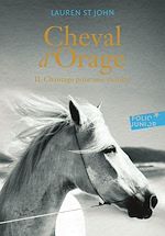 Télécharger le livre :  Cheval d'Orage (Tome 2) - Chantage pour une victoire