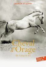 Download this eBook Cheval d'Orage (Tome 3) - Galop de feu