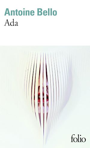 Téléchargez le livre :  Ada