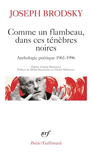 Téléchargez le livre :  Comme un flambeau, dans ces ténèbres noires