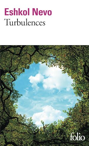 Téléchargez le livre :  Turbulences