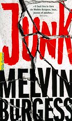 Télécharger le livre :  Junk