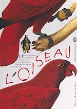 Télécharger le livre :  L'oiseau, vivant ou rêvé, peint ou sculpté, observé et identifié, à aimer et à protéger