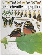 Download this eBook De la chenille au papillon