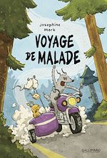 Télécharger le livre :  Voyage de malade
