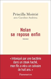 Téléchargez le livre :  Nolan se repose enfin