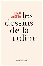 Télécharger le livre :  Les dessins de la colère