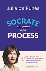 Télécharger le livre :  Socrate au pays des process
