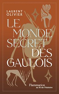 Téléchargez le livre :  Le monde secret des gaulois