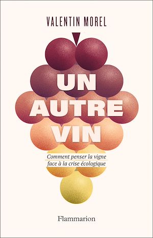 Téléchargez le livre :  Un autre vin