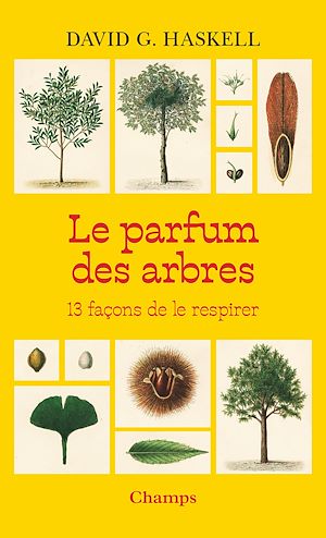 Téléchargez le livre :  Le parfum des arbres. 13 façons de le respirer
