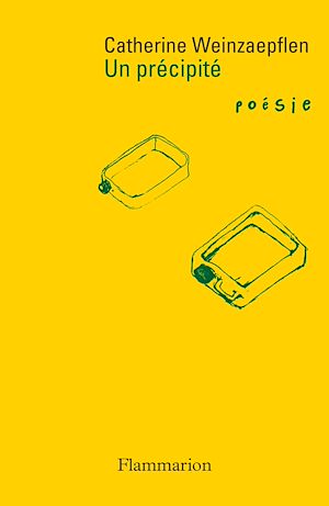 Téléchargez le livre :  Un précipité