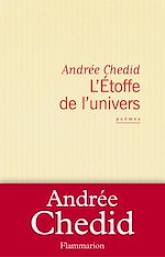 Télécharger le livre :  L'Étoffe de l'univers