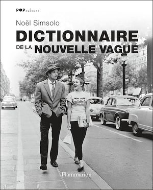 Download the eBook: Dictionnaire de la nouvelle vague