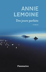 Télécharger le livre :  Des jours parfaits