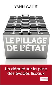 Téléchargez le livre :  Le Pillage de l'État