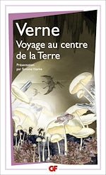Télécharger le livre :  Voyage au centre de la terre