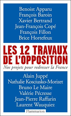 Download the eBook: Les 12 travaux de l'opposition