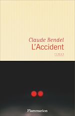 Télécharger le livre :  L'Accident