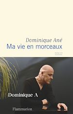 Télécharger le livre :  Ma vie en morceaux