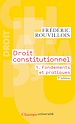 Télécharger le livre :  Droit constitutionnel (Tome 1) - Fondements et pratiques