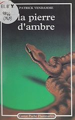 Télécharger le livre :  La Pierre d'ambre