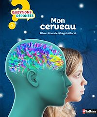Téléchargez le livre :  Mon cerveau - Questions/Réponses - doc dès 7 ans