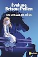 Télécharger le livre :  Un cheval de rêve