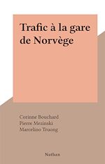 Télécharger le livre :  Trafic à la gare de Norvège