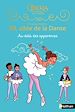 Télécharger le livre :  20 allée de la danse Saison 2 - Tome 5 - Au-delà des apparences - Roman dès 8 ans